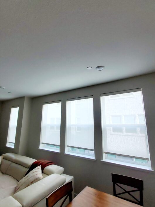 Roller Shades (1)