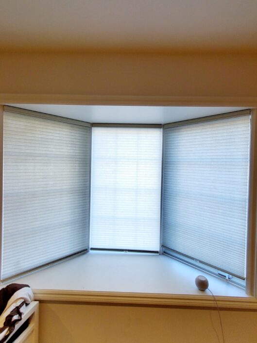 Honeycomb Cellular Shades (2)