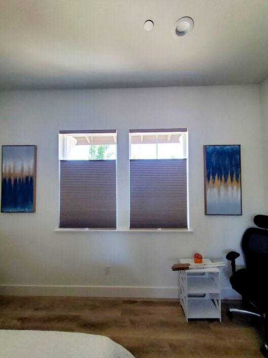 Honeycomb Cellular Shades (4)