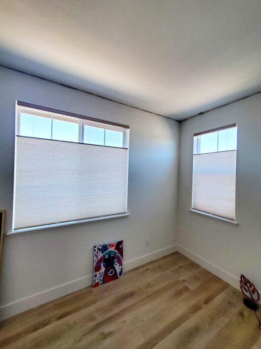 Honeycomb Cellular Shades (6)